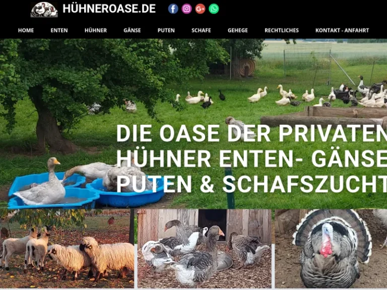 Hühneroase - Bayern in Zeitlarn