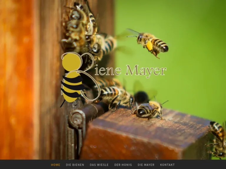 Honig aus Ludwigsburg von Biene Mayer - Baden-Württemberg in Ludwigsburg