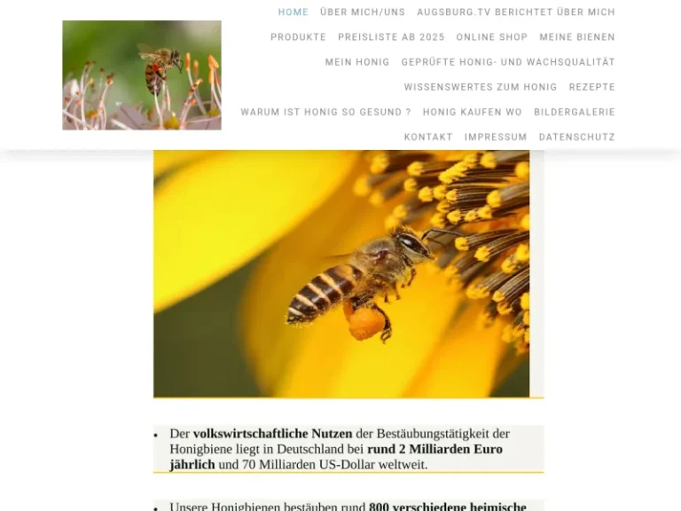 Alfred Hofmann - Bayern in Donauwörth