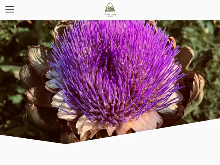 Imkerei André Riemeier - Bremen in Bremen