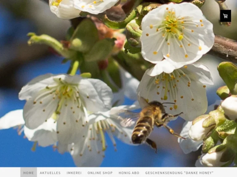 Guten Morgen Honey – Honig direkt aus der Imkerei, Oberhavel - Brandenburg in Liebenwalde