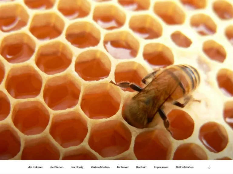 Sven’s Bienen – Imkerei Kochan - Nordrhein-Westfalen in Lienen