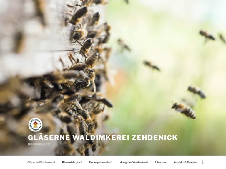 Gläserne Waldimkerei Bienenklaus - Brandenburg in Zehdenick