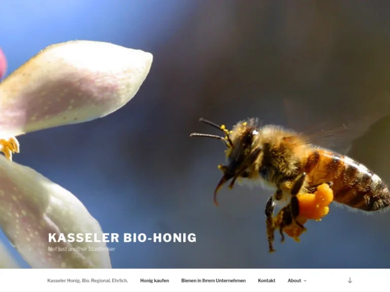 Kasseler Bio-Stadthonig - Hessen in Kassel