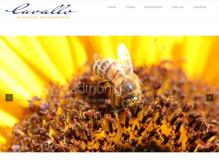 Cavallo - Hessen in Kassel