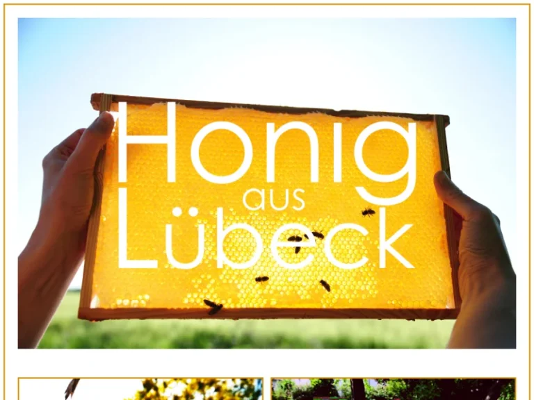 Honig aus Lübeck – Imkerei Jürgen Kandulla & Benjamin Krenkel - Schleswig-Holstein in Lübeck