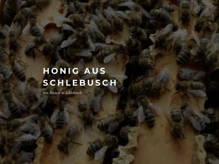 Imkerei Bernd Höxter – Honig aus Schlebusch - Nordrhein-Westfalen in Leverkusen
