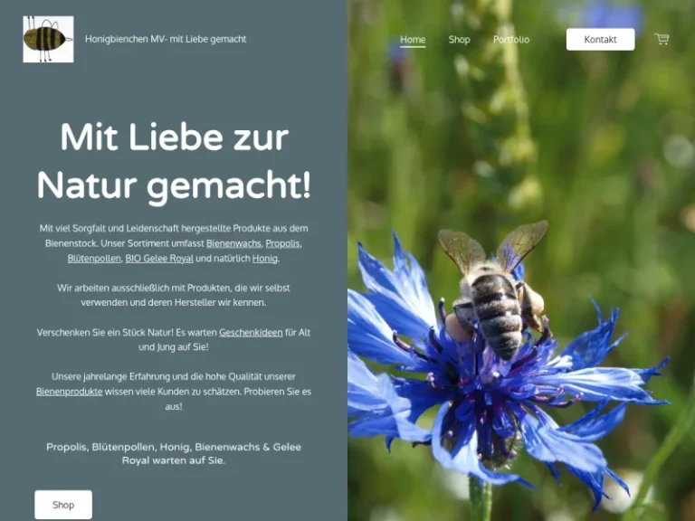 Honigbienchen MV - Mecklenburg-Vorpommern in Ribnitz-Damgarten