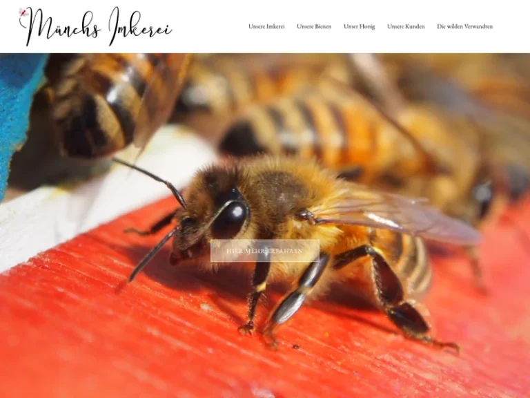 Imkerei Münch: Honig-Specialitaeten - Sachsen in Coswig