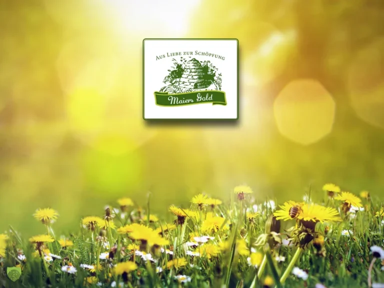 Roland Maier - Baden-Württemberg in Bad Peterstal-Griesbach