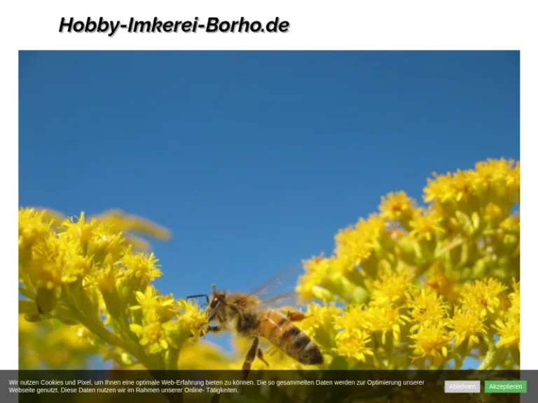 Hobby-Imkerei-Borho - Baden-Württemberg in Bad Dürrheim