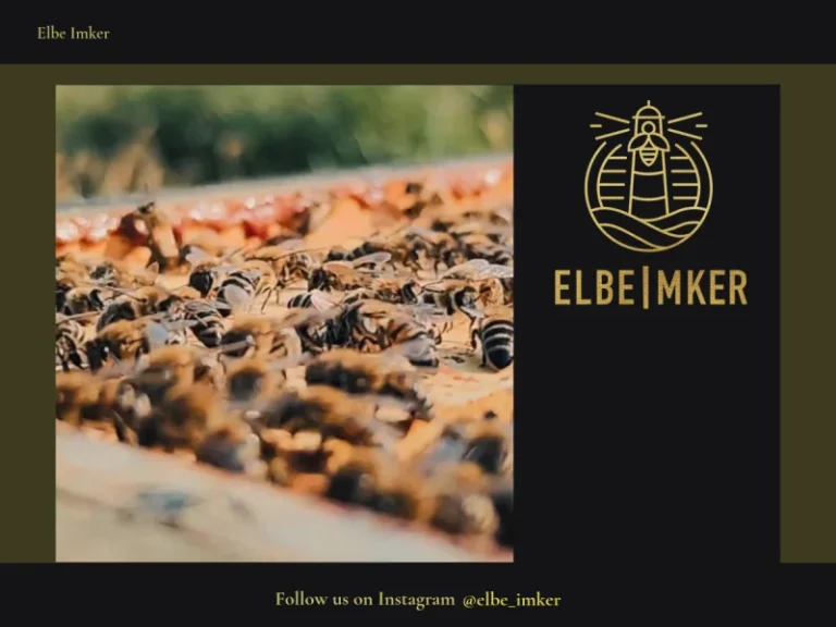 Elbe Imker - Schleswig-Holstein in Kollmar