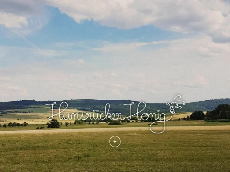 Hunsrücker Honig - Rheinland-Pfalz in Laubach