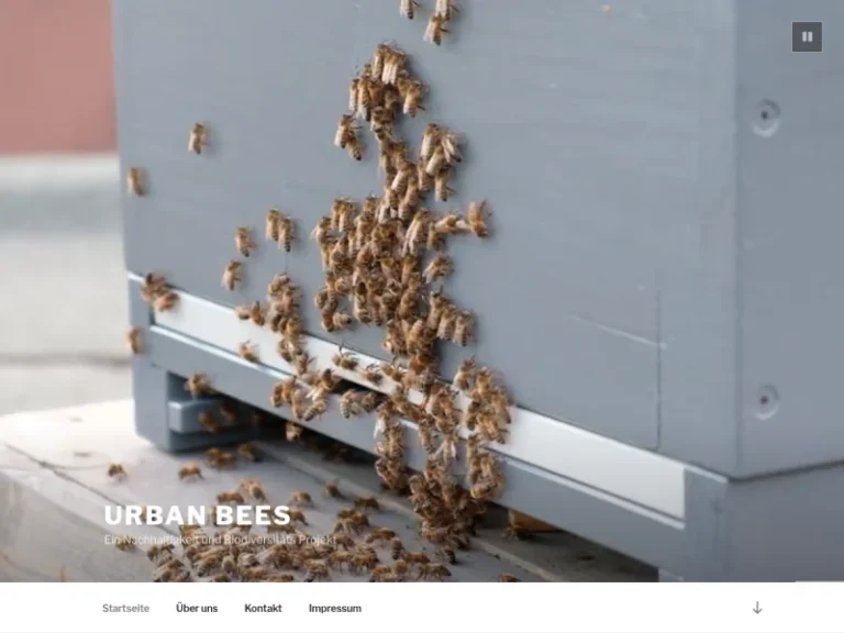 Urban Bees - Hessen in Liederbach am Taunus