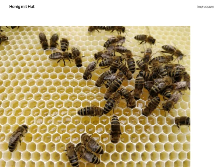 Honig mit Hut - Hessen in Frankfurt am Main