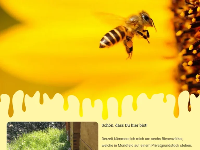 Mondfelder Bienenhonig - Baden-Württemberg in Wertheim