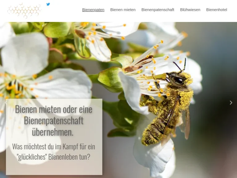 Bienenpaten - Niedersachsen in Bad Rothenfelde