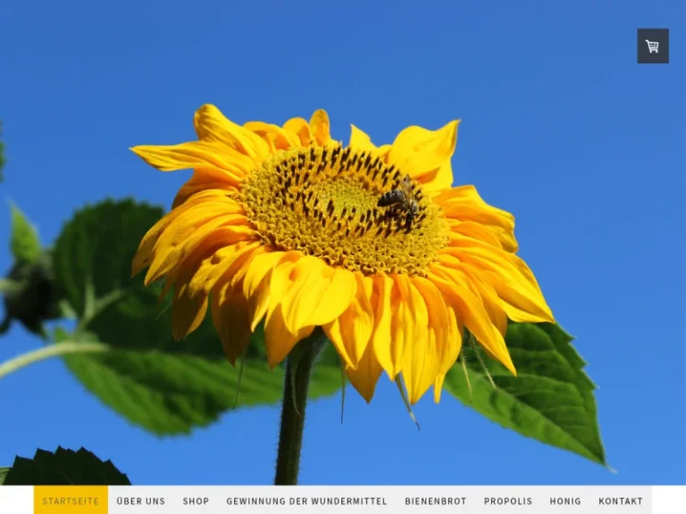 Imkerei Bienen-Wundermittel Michael Schwarz - Bayern in Weißensberg