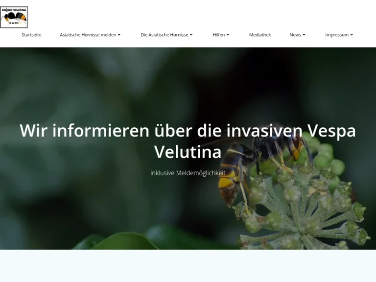 Thomas Beissel, velutina.de - Nordrhein-Westfalen in Much