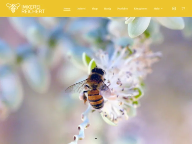 Imkerei Kay Reichert - Baden-Württemberg in Langenbrettach