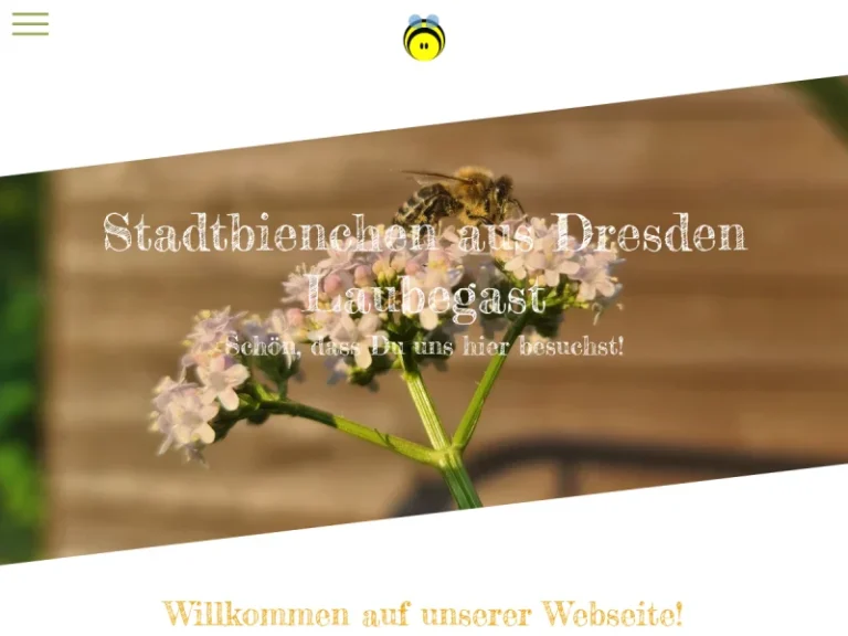 Hobby-Imkerei Stadtbienchen - Sachsen in Dresden
