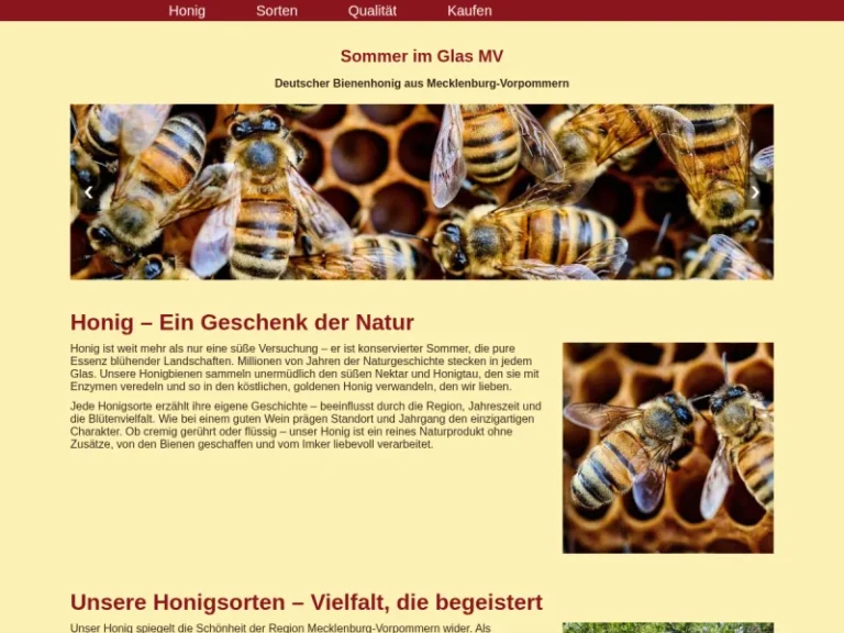 Sommer im Glas MV – Honig aus Mecklenburg-Vorpommern - Mecklenburg-Vorpommern in Neddemin