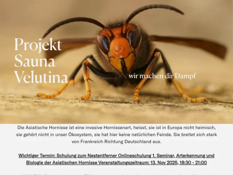 Schwabenimker - Baden-Württemberg in Bretzfeld