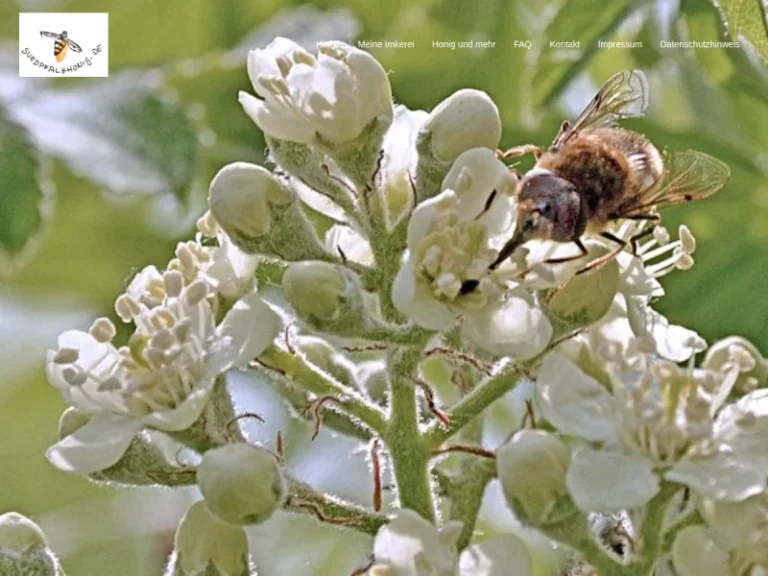 Michael Schmalenberg - Rheinland-Pfalz in Landau in der Pfalz