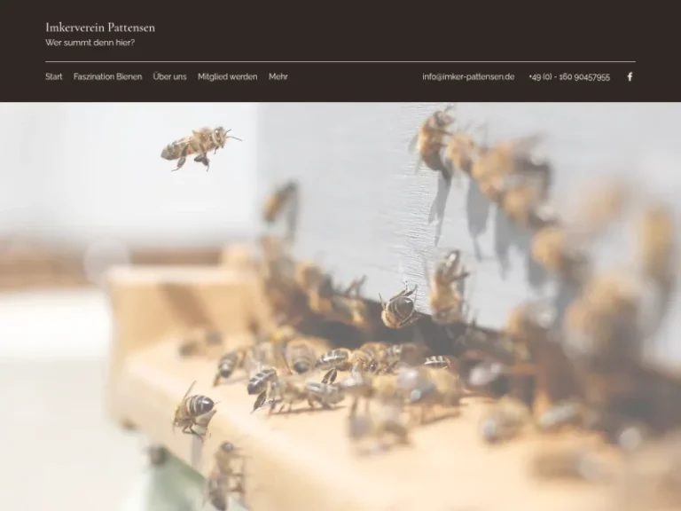 Imkerverein Pattensen - Niedersachsen in Pattensen