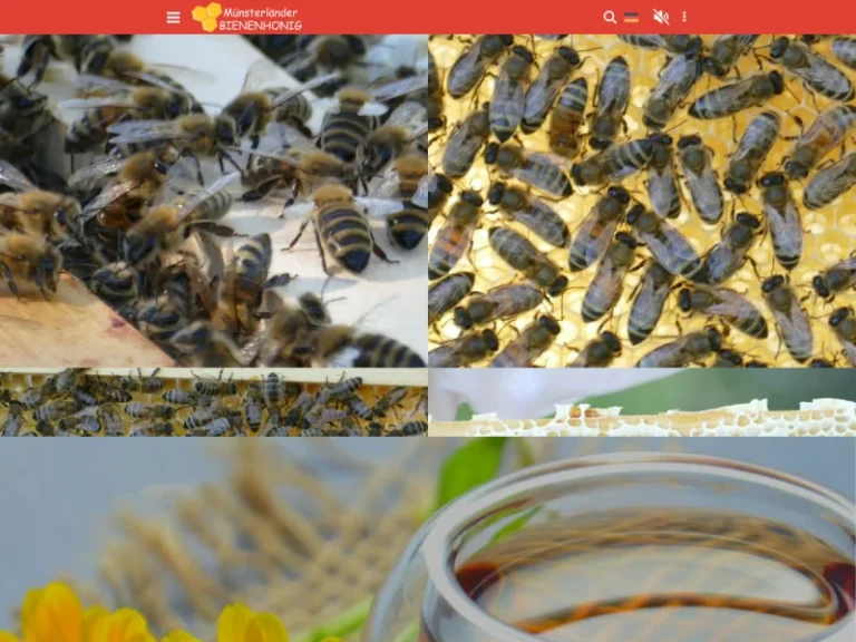 Heeker Stiegen-Imkerei - Nordrhein-Westfalen in Heek